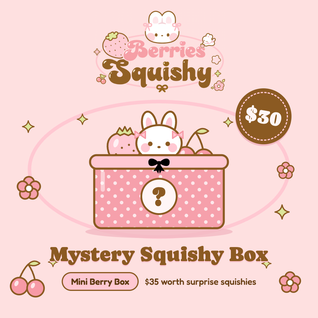 Mystery Squishy Box
