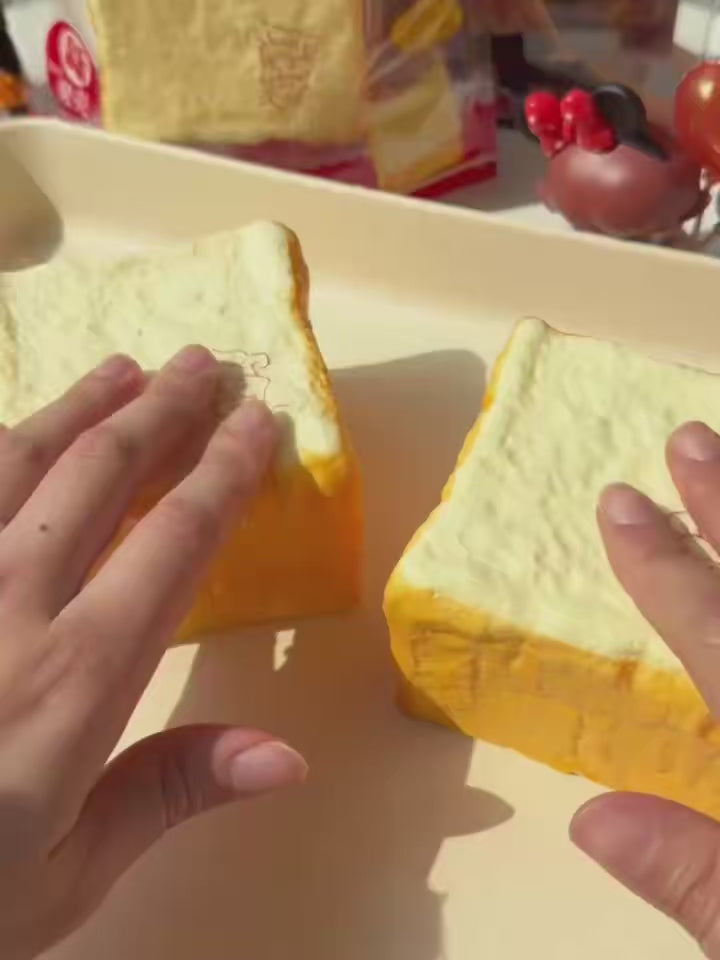 Grandpa's Toast Squishy